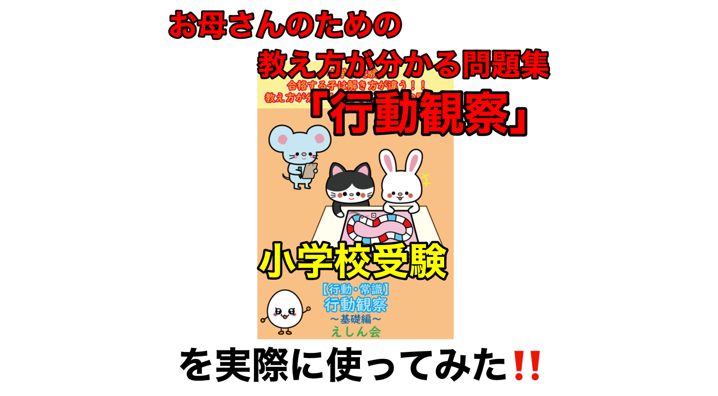 こぐま 会 行動 観察 クリアランス dvd